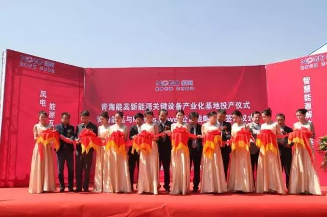青海能高新能源關鍵設備產業化基地投產儀式啟動(圖6)